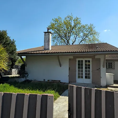 47 * Lege-Cap-Ferret